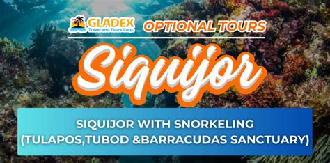 TRIPS – Gladex Travel and Tours Corp..